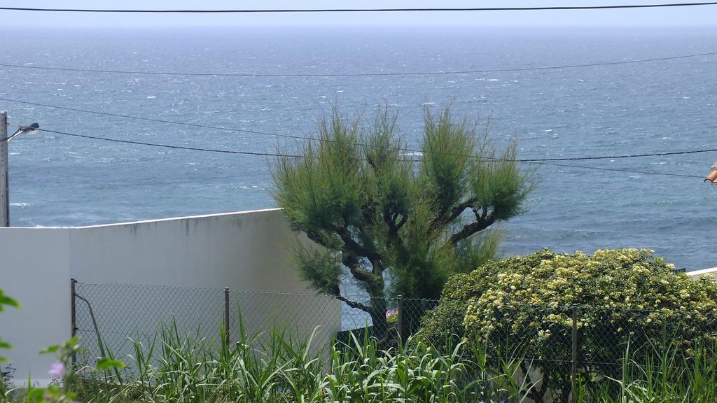 Santa Cruz Ocean Apartment - II المظهر الخارجي الصورة